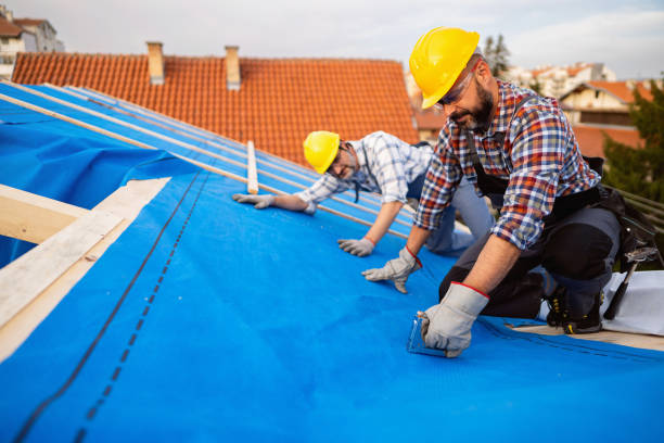 Best Emergency Roof Repair  in Evansville, IN